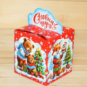  в Краснознаменске