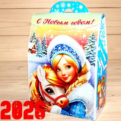 Детский новогодний подарок 2026 в Краснознаменске